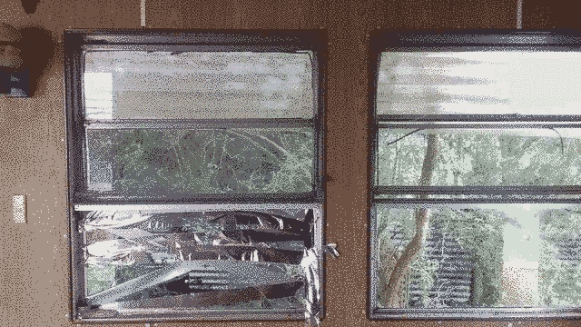 Two windows, tape on left one. Bush outside, old plywood surrounds.